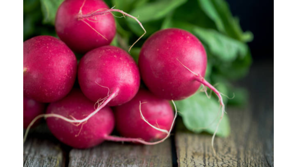 Radish