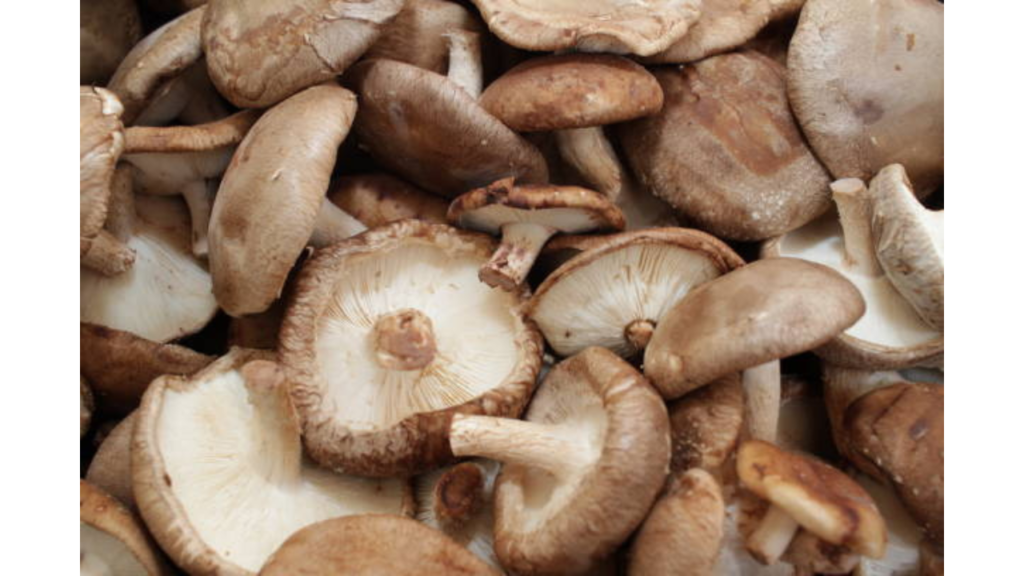 Shiitake Mushrooms