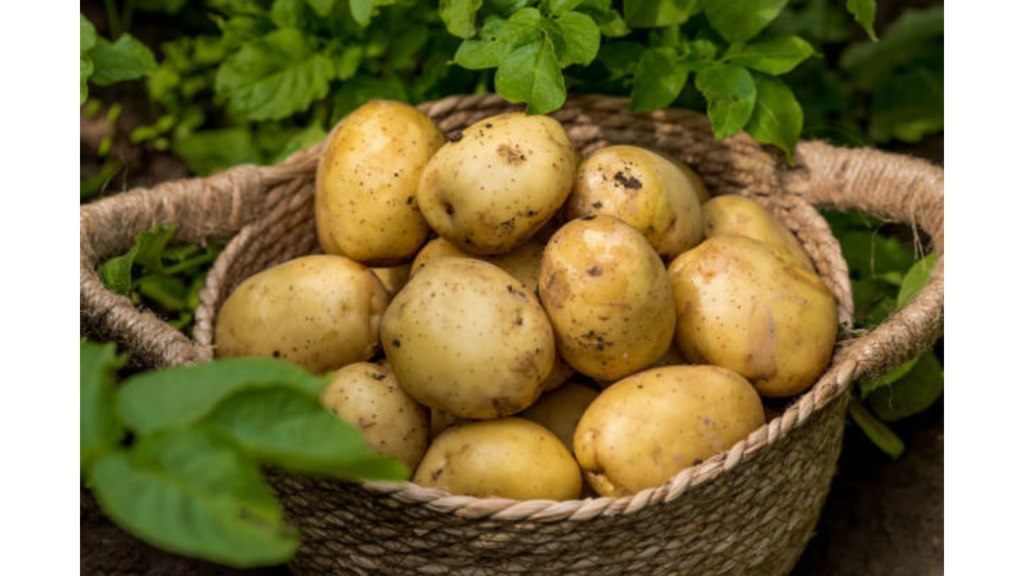 Potatoes