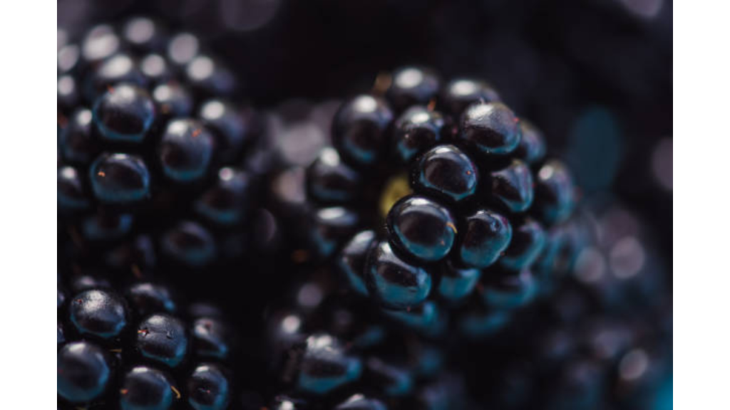 Blackberries