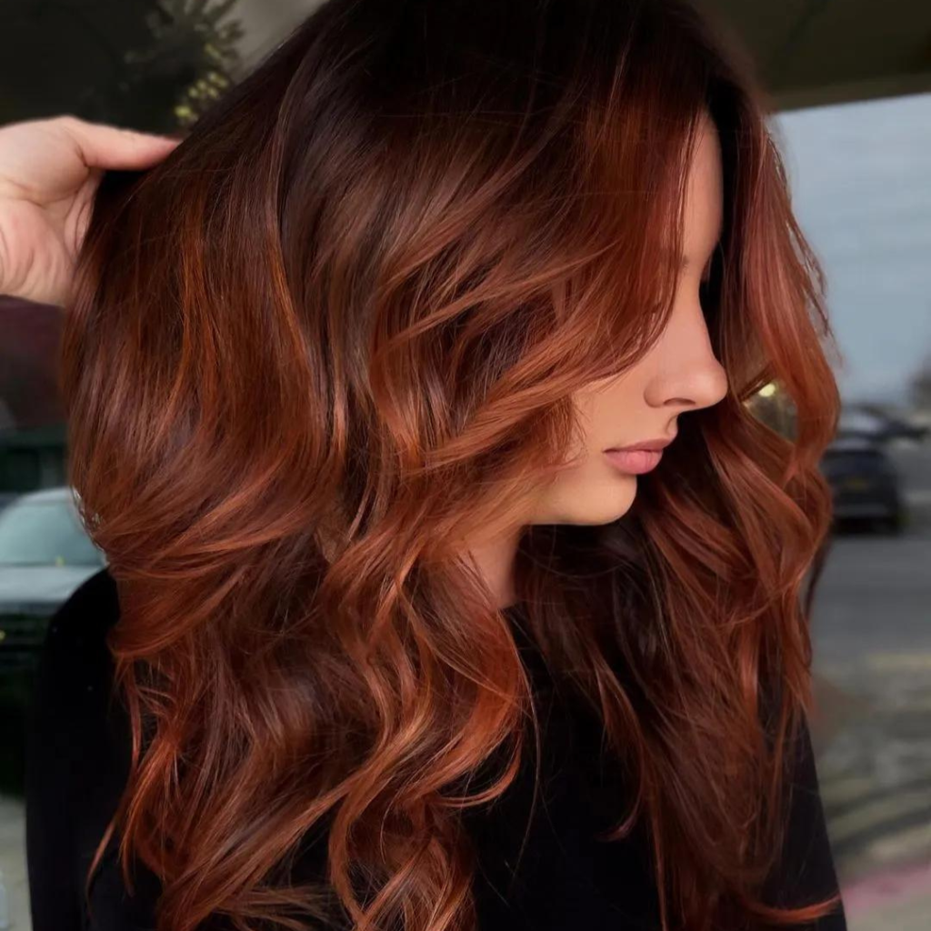 Highlights in Dark Auburn